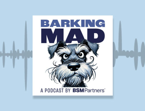 Listen to our Upcycling Journey on the Barking Mad Podcast