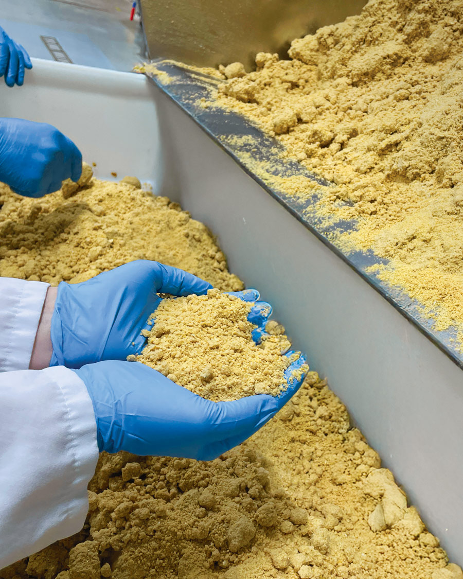 AGASite_Bread3 Employee holding baking crumb