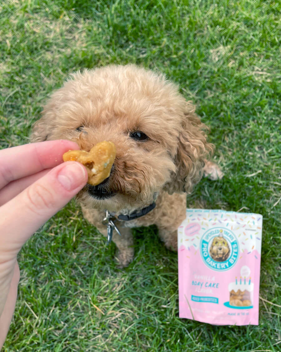 AGASite_Cooperandtreats (2)